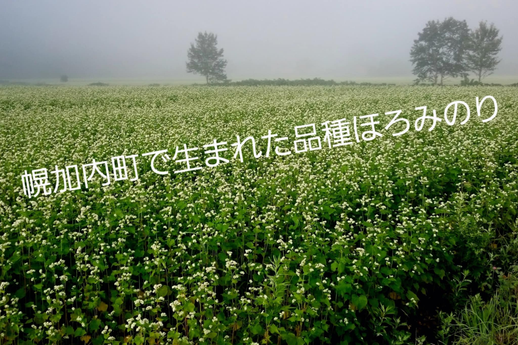 蕎麦処、幌加内産の素材を使用